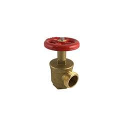 FPPI&reg; 06-830-00 Angle Globe Valve, 2 in