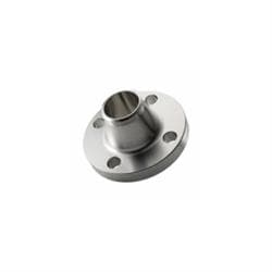 10 in Stainless Steel 304L Raised Face Weld Neck Flange Gs