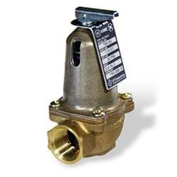 Bell & Gossett 110121 790-30 790K Relief Valve, 3/4 in Nominal