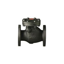 Stockham 2-1/2 in Swing Check Valve Flanged 63407800