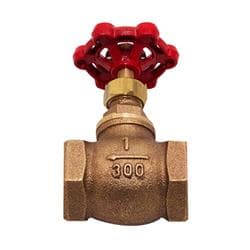FPPI&reg; TrimFit&reg; 06-800-00 Globe Valve, 1/2 in