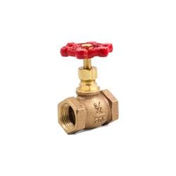 FPPI&reg; TrimFit&reg; 06-802-00 Globe Valve, 3/4 in