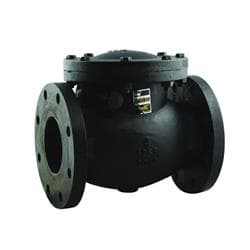Apollo&trade; 6SC100B1LFA Lead Free Full Port Cast Iron Class 125 Swing Check Valve, 3 in Nominal