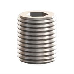 EJIW 5BR250 SET SCREW FOR HOSE NOZZLE #00946068