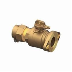 Ford BF43-777W-NL Straight Ball Flange Meter Valve, 2 in Nominal