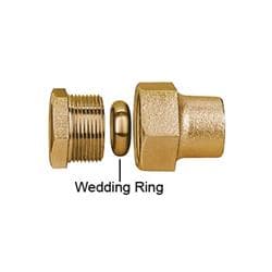 Ford C22-33-NL Straight Coupling, 3/4 in Nominal