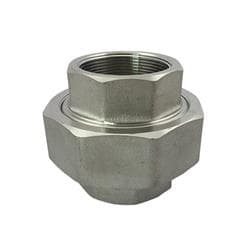 2 in Stainless Steel 304 Union Gs
