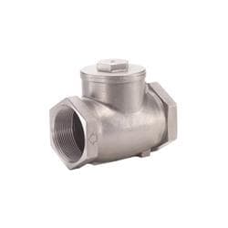 Legend 113-438 T-750 Swing Check Valve, 2 in