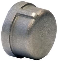 3 in Stainless Steel 304L Cap Gs
