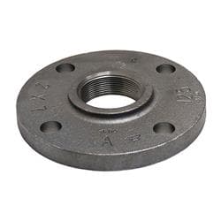 2-1/2 in 150Lb Raised Face Thread Flange Gs