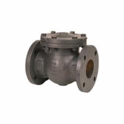 Nibco NHE300E 2-1/2 in Flanged Check Valve, Cast Iron