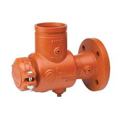 Victaulic&reg; CD65731DEN 731-D Suction Diffuser With ANSI Class 150 Flange, 4 in Nominal