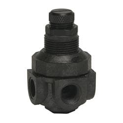 Watts® 0354555 Miniature Pressure Regulator, 1/4 in