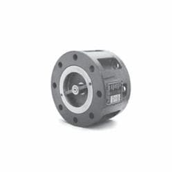 Mueller Steam M6702785 Check Valve, 4 in
