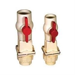 Zoeller® 30-0101 Check/Ball Valve, 2 in