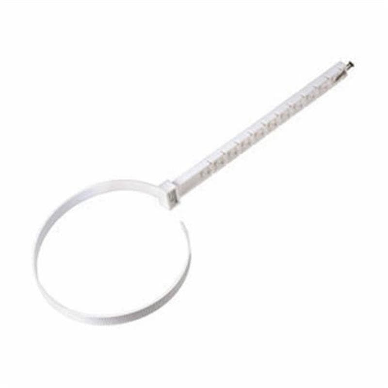 Product Alternate Image 1