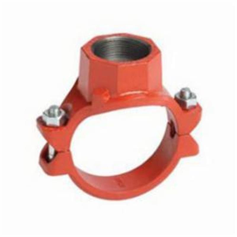 Product Alternate Image 1