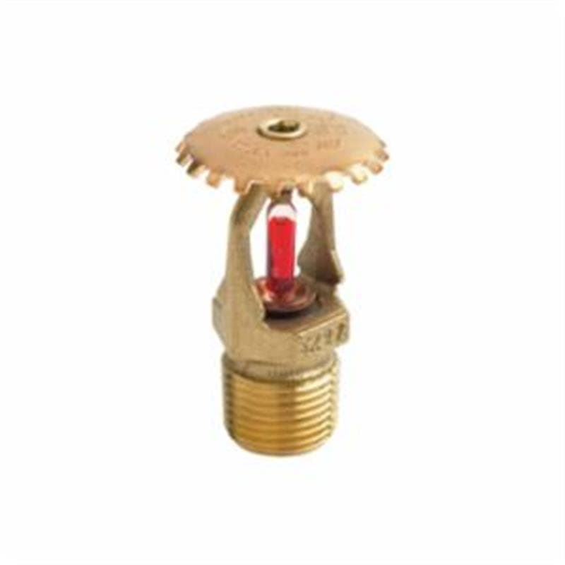 Product Alternate Image 1