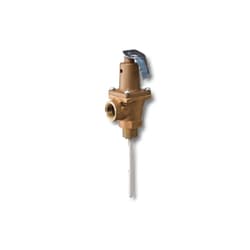 Lochinvar® 100276752 Temperature And Pressure Relief Valve