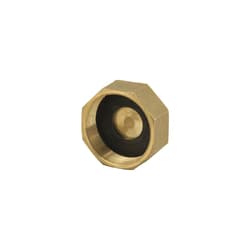 Ford CAP-4-4-NL COUPLING CAP FOR 1 in CTS