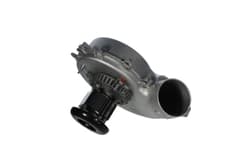 Packard 66833 Draft Inducer
