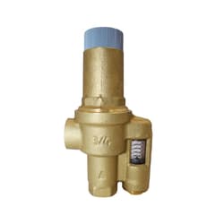 Honeywell D146M1032/U Differential Pressure Regulator, 3/4 in Nominal Size