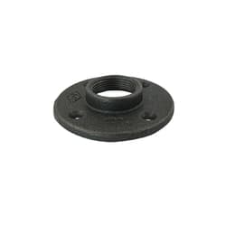 Cast Iron Threaded Flanges Image