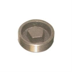 A.Y. McDonald 4511-219 Pentagon Plug, 2 in