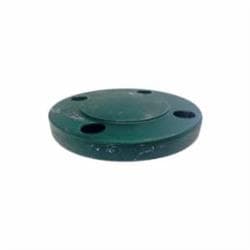 3 in 150Lb Raised Face Blind Flange