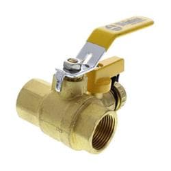 Webstone Ball Drain™ 40614 Ball Valve, 1 in