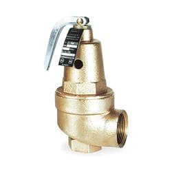 Apollo™ 1061705 Bronze Safety Relief Valve, 1-1/2 x 2 in Nominal