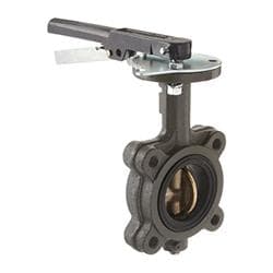 Hammond Valve 5211D010200 Butterfly Valve, 2 in