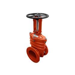 Anvil® PRO-GARD® 7000600606 Gate Valve