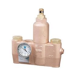 Bradley® S59-3080P Thermostatic Mixing Valve, 1"x1-1/4"