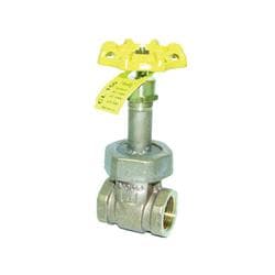 Apollo™ 3020501 Rising Stem Bronze Gate Valve, 1 in Nominal