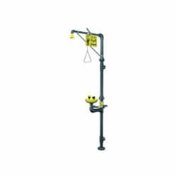 Bradley® SpinTec™ S19-310PVC Combination Drench Shower and Eye/Face Wash Unit