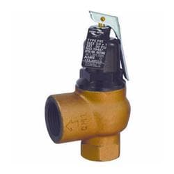 Cash Acme® 19499-0050 Relief Valve, 3/4 x 1 in