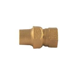 Ford C21-33-NL Straight Coupling, 3/4 in Nominal