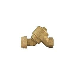 Ford HHS31-344-NL Straight Cascading Dual Check Valve, 3/4 in Nominal