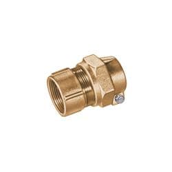 Ford PJA4-13-Q-NL Quick Joint Assembly, 3/4 in Nominal