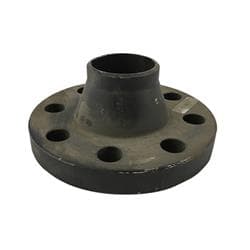 2 in 300Lb Raised Face Weld Neck Flange Gs