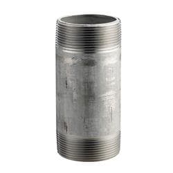 3 x 12 in Stainless Steel 304L Nipple Gs