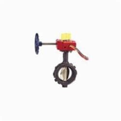 Nibco® Nlh801M Butterfly Valve, 10 in