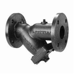 Keckley 10 in Cast Iron Flanged Wye Strainer Style A Gs