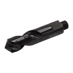 Reed 04382
