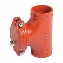 Victaulic® C060730PEB Vic-Strainer® Pipe Tee Strainer With Gasket, 6 in Nominal Size