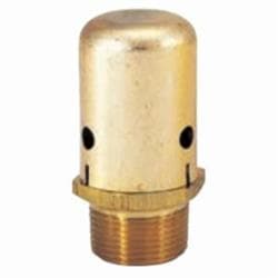 Bell & Gossett 113075 #26 Vacuum Breaker, 3/4 in Nominal Size