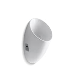 Kohler® K-4917-0 Steward® Urinal