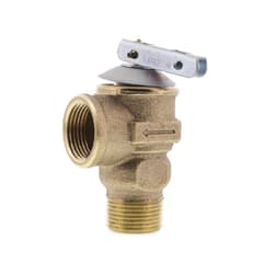 Cash Acme® 20166-0030 3/4 in F30 Pressure Only Safety Relief Valve (30 PSI)