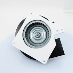 Packard 66002 Ducted Draft Inducer